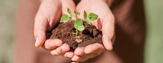 close-up-hands-holding-sprout-with-dirt-1